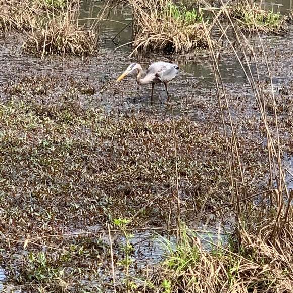 Meet your Posher, Lori - Picture 6 of 6